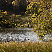 Buy canvas prints of Loughrigg Tarn in Autumn Lake District by Sonny Ryse
