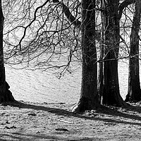 Buy canvas prints of Esthwaite Water black and white Lake District 2 by Sonny Ryse