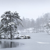 Buy canvas prints of Frozen tarn hows covere din snow lake district by Sonny Ryse