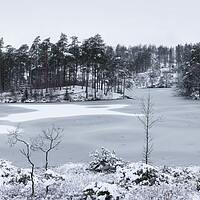 Buy canvas prints of Frozen Tarn Hows Covered in Snow Lake District by Sonny Ryse