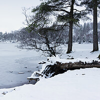Buy canvas prints of Frozen Tarn Hows in winter Lake District by Sonny Ryse