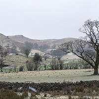 Buy canvas prints of Lake district on a frosty day by Sonny Ryse