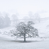 Buy canvas prints of Rydal in winter lake district by Sonny Ryse