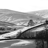 Buy canvas prints of Thwaite in winter Swaledale Yorkshire Dales black and white by Sonny Ryse