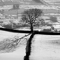Buy canvas prints of Wensleydale fields in winter in black and white yorkshire dales by Sonny Ryse