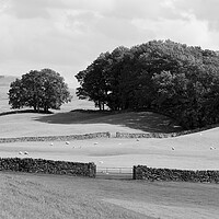 Buy canvas prints of Yorkshire Dales Wensleydale Fields black and white by Sonny Ryse