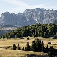 Buy canvas prints of Alpe di Siusi Seiser Alm Gruppo del Catinaccio Alpine meadow Ita by Sonny Ryse