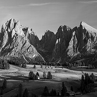 Buy canvas prints of Alp di Suisse Seiser Alm Aline Meadow Sassopiatto talian Alps Do by Sonny Ryse