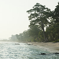 Buy canvas prints of Beautiful Neil Island beach Andoman Islands by Sonny Ryse