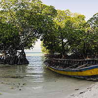 Buy canvas prints of Havelock Island beach Mangroves and boat Andamans by Sonny Ryse