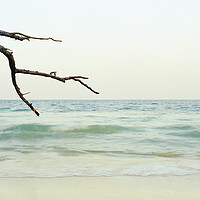 Buy canvas prints of Havelock Island Beach Andamans by Sonny Ryse
