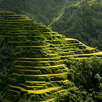Buy canvas prints of Banaue Rice terraces Philippines 2 by Sonny Ryse