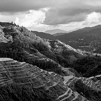 Buy canvas prints of Banaue Rice terraces Philippines black and white by Sonny Ryse