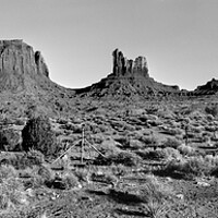 Buy canvas prints of Monument Valley Horse Black and White by Sonny Ryse