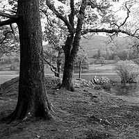Buy canvas prints of Rydal water in the lake district black and white by Sonny Ryse