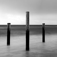 Buy canvas prints of Palendorp Petten Beach Netherlands Black and white by Sonny Ryse