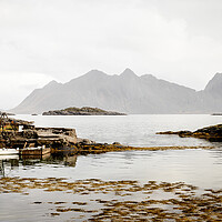 Buy canvas prints of Norwegian Red Rorbu Litlmolla Island Austvagoya Lofoten Islands by Sonny Ryse