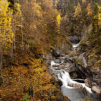 Buy canvas prints of Norwegian stream autumn by Sonny Ryse