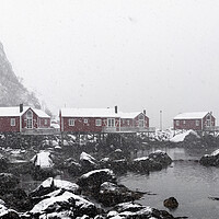 Buy canvas prints of Nusfjord Red cabins huts covered in snow Lofoten Islands in the  by Sonny Ryse