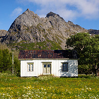 Buy canvas prints of White Norwegian House Lofoten Islands by Sonny Ryse