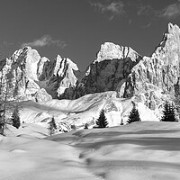 Buy canvas prints of Punta Rolle Passo Rolle in Winter Dolomites Italy Black and whit by Sonny Ryse