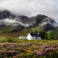 Buy canvas prints of Glencoe Scottish cottage Buachaille Etive Mor Mountain and Heath by Sonny Ryse