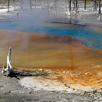 Buy canvas prints of Yellowstone National Park hot spring by Sonny Ryse