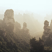 Buy canvas prints of Zhangjiajie National Park Wulingyuan mountains forest by Sonny Ryse
