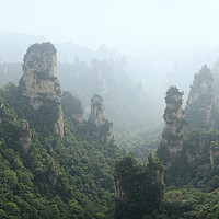 Buy canvas prints of Zhangjiajie National Park Wulingyuan mountains forest by Sonny Ryse