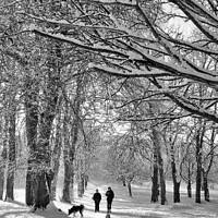 Buy canvas prints of A winter walk in the park by Wall Art by Craig Cusins