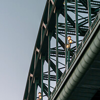 Buy canvas prints of Tyne Bridge Curves and Lines by Dan Beegan