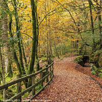 Buy canvas prints of Autumn pathway by kenneth Dougherty