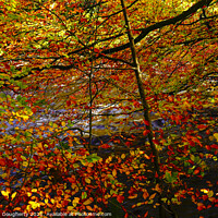 Buy canvas prints of Autumn leaves by kenneth Dougherty