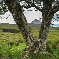 Buy canvas prints of Errigal as seen through a  tree by kenneth Dougherty
