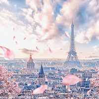 Buy canvas prints of French sakura by Manjik Pictures