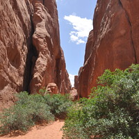 Buy canvas prints of Narrow Canyon path, Arches National Park by Sam Robinson