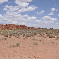 Buy canvas prints of Desert Landscape Arches National Park by Sam Robinson