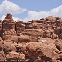 Buy canvas prints of Fiery Furnace Close Up, Arches National Park by Sam Robinson