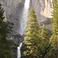 Buy canvas prints of Yosemite Falls Upper and Lower by Sam Robinson