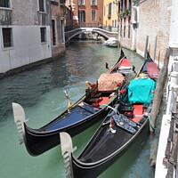 Buy canvas prints of Pair of Gondolas. Venice by Sam Robinson