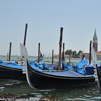 Buy canvas prints of Row of Gondolas, Venice by Sam Robinson