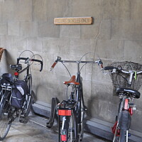 Buy canvas prints of Cambridge University Bicycles by Sam Robinson