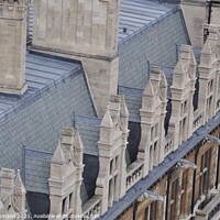 Buy canvas prints of Cambridge Rooftops with Gargoyles by Sam Robinson