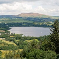 Buy canvas prints of Bassenthwaite Lake View from Sale Fell by Sam Robinson