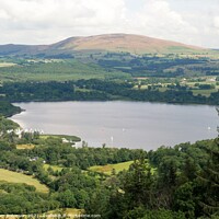 Buy canvas prints of View of Bassenthwaite Lake from Sale Fell by Sam Robinson