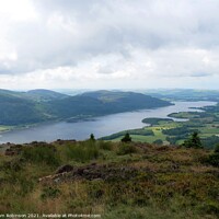 Buy canvas prints of Bassenthwaite Lake View from Dodd Fell Summit by Sam Robinson