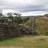 Buy canvas prints of A section of Hadrian's Wall, Northumberland by Sam Robinson