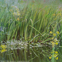 Buy canvas prints of The edge of a pond by Jeffrey Burgess