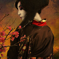 Buy canvas prints of Geisha with Quince by Jeffrey Burgess