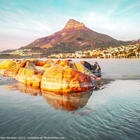Buy canvas prints of View of Lion's Head  by Adrian Paulsen